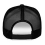 Bone Alpinestars Flag Snapback Preto Preto