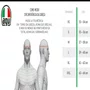 Capacete Fechado Agv K1 S Soleluna
