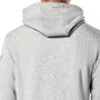 Moletom Alpinestars Linear Wordmark V3 Hoodie Cinza Claro Vermelho
